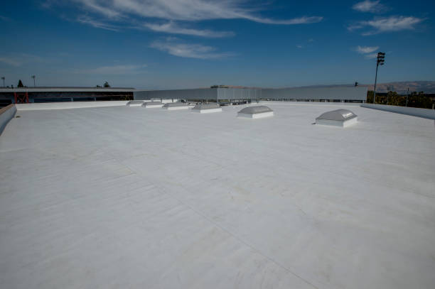 Best 4 Ply Roofing  in Newport, NC