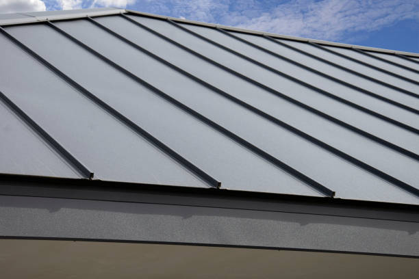 Best Steel Roofing  in Newport, NC